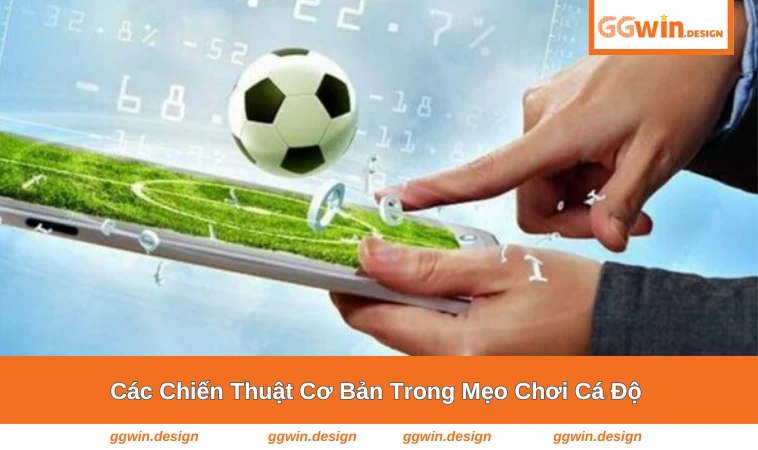 Người chơi áp dụng chiến thuật cá độ bóng đá trên hệ thống