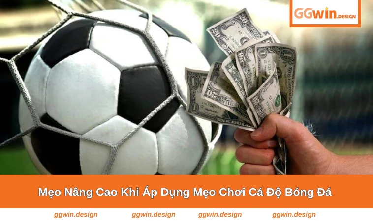 Sử dụng ứng dụng của nhà cái để áp dụng mẹo cá độ