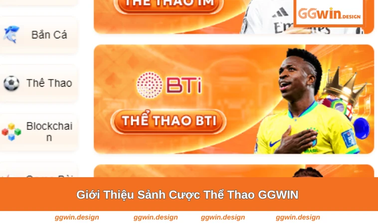 Giao diện tổng quan sảnh thể thao