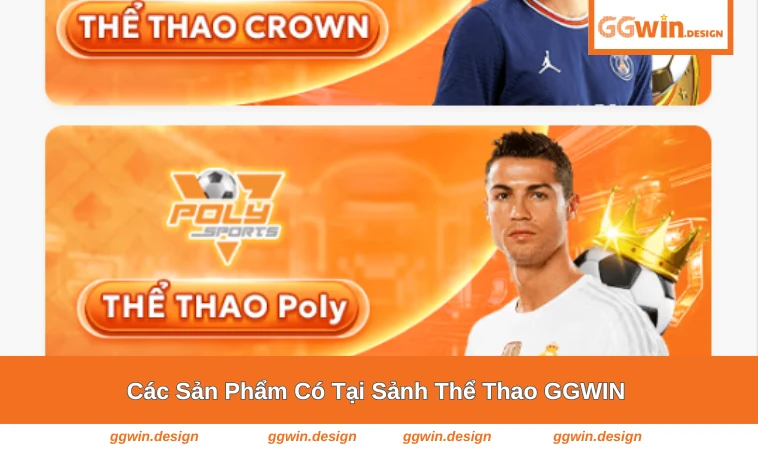 Danh sách bộ môn và trận đấu nổi bật tại sảnh thể thao